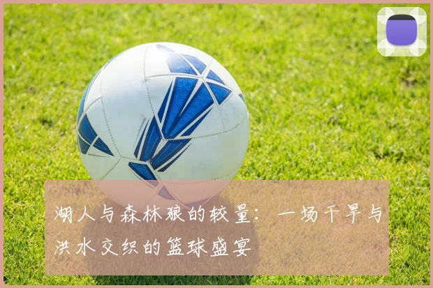 湖人与森林狼的较量：一场干旱与洪水交织的篮球盛宴
